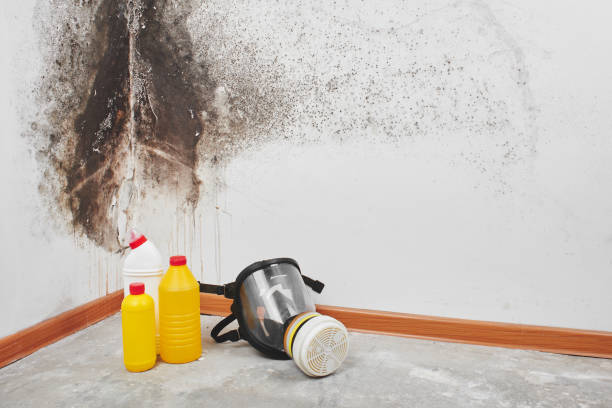 Best Mold Testing  in Parksdale, CA