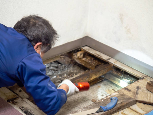 Water Damage Restoration in Parksdale, CA