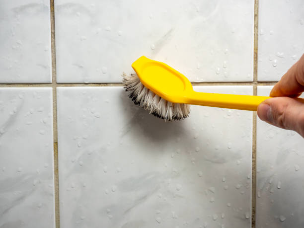  Parksdale, CA Mold Removal Pros