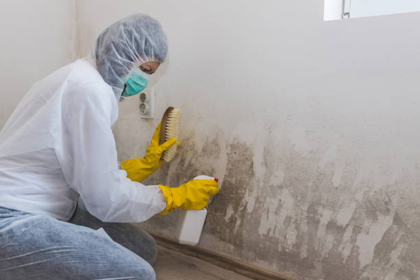 Best Home Mold Removal  in Parksdale, CA