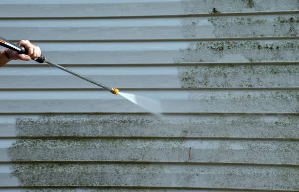 Best Local Mold Removal Service  in Parksdale, CA