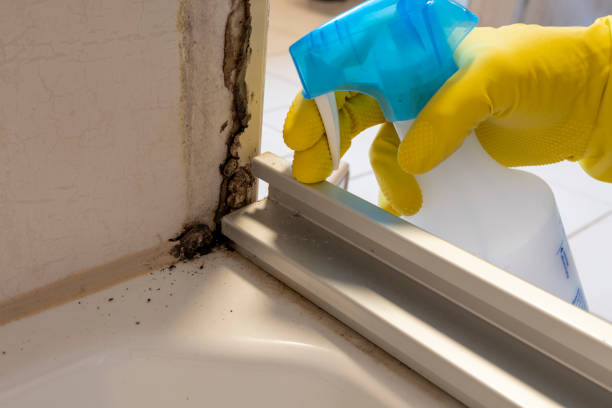 Best Home Mold Removal  in Parksdale, CA