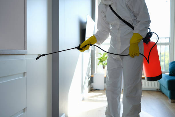 Best Water Damage Restoration  in Parksdale, CA