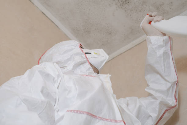 Best Mold Remediation  in Parksdale, CA