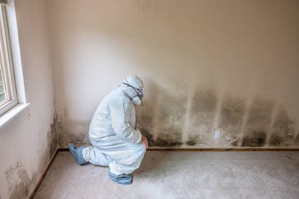 Best Fast Mold Removal  in Parksdale, CA